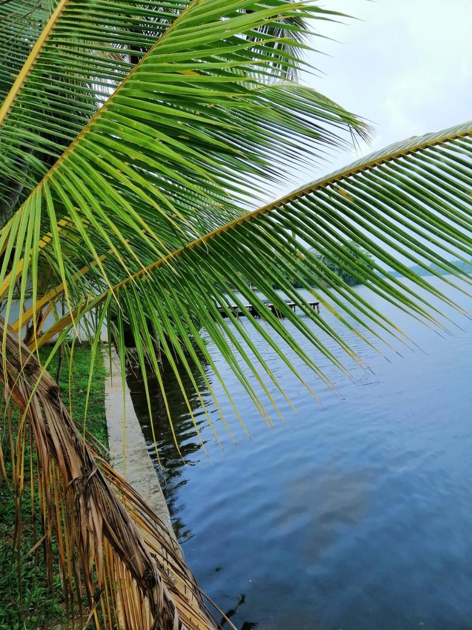 Hikka Lagoon Hikkaduwa Exterior photo