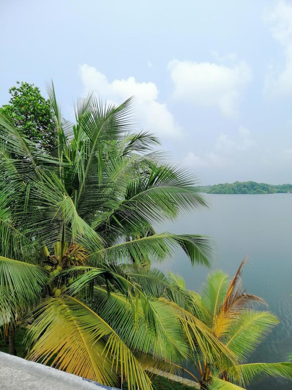 Hikka Lagoon Hikkaduwa Exterior photo
