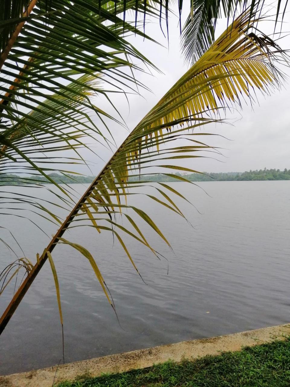 Hikka Lagoon Hikkaduwa Exterior photo